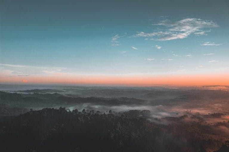 bird s eye view photography of green forest 1208379.jpg